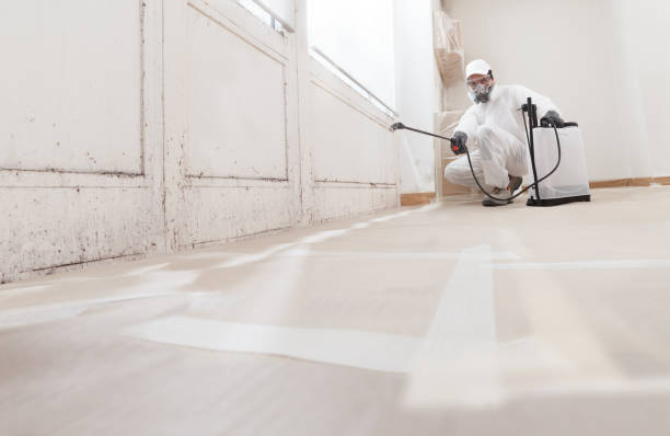 24/7 Emergency Mold Inspection experts in Boston, MA